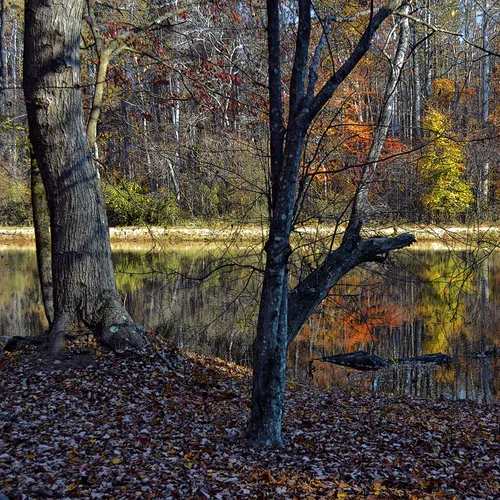 Lake Corriher 2014-4