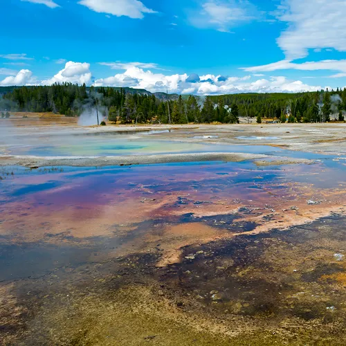 Yellowstone 18