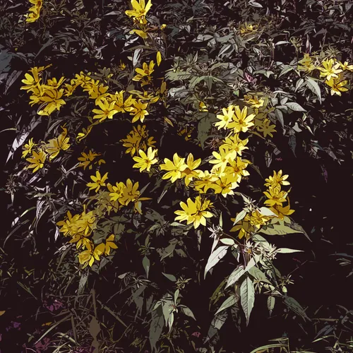 Wildflowers Cutout