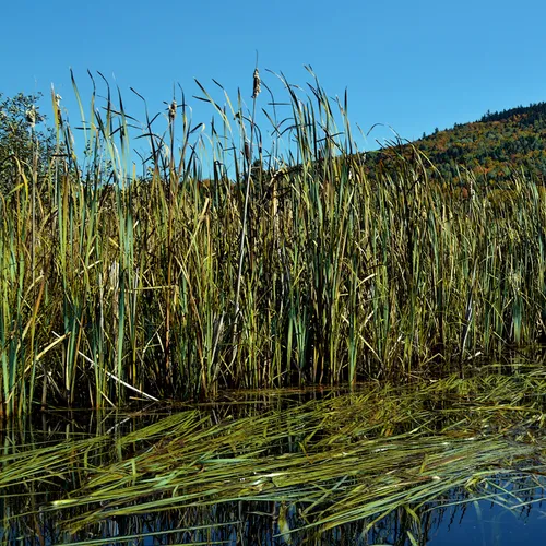 New Hampshire Mtns 6
