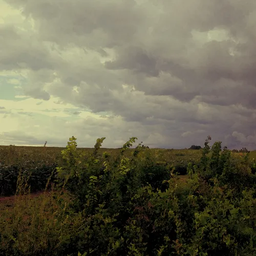 Storm Front wc select