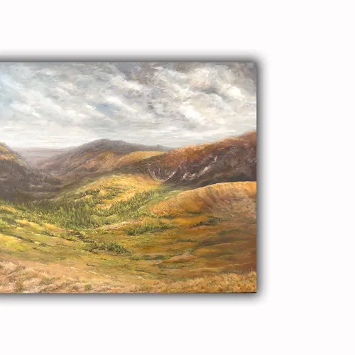 Rocky Mountain National Park 1