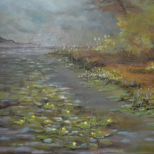 Waterlilies at Dan Nicholas