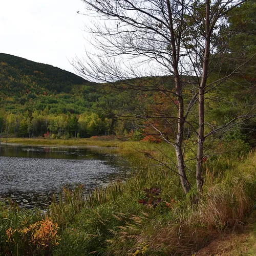 Acadia Shore Fall 1-8
