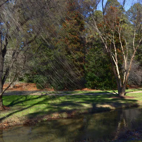 Hurley Park Stream 2