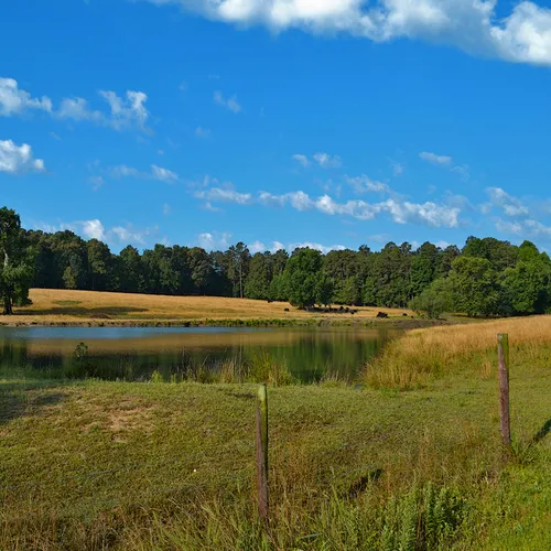 Davie County field 2