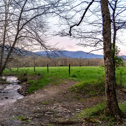 Cadescove 1