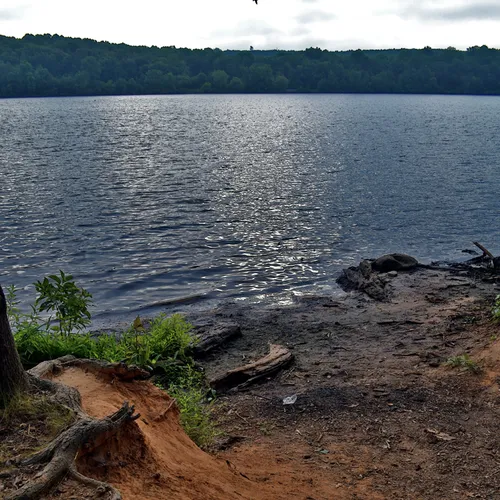 Yadkin Wildlife Access