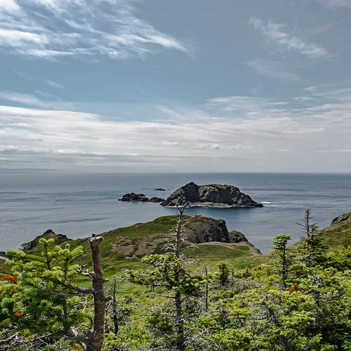 Twillingate 26