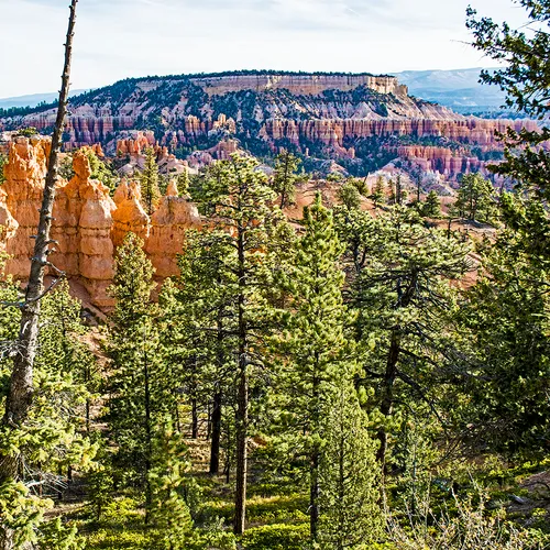 BryceNationalPark 11