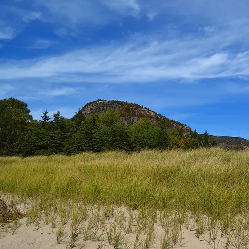 Acadia Shore Fall 1-20