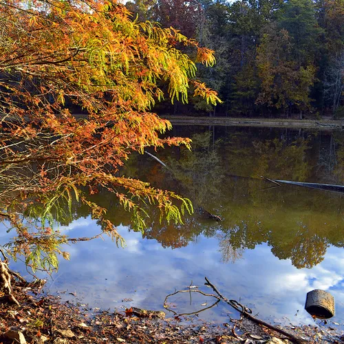 autumn Dan Nicholas 4