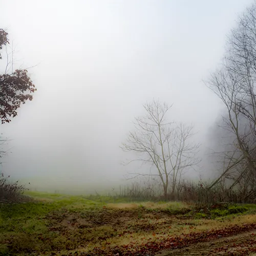 Fanniesloan 2015 Fog 11