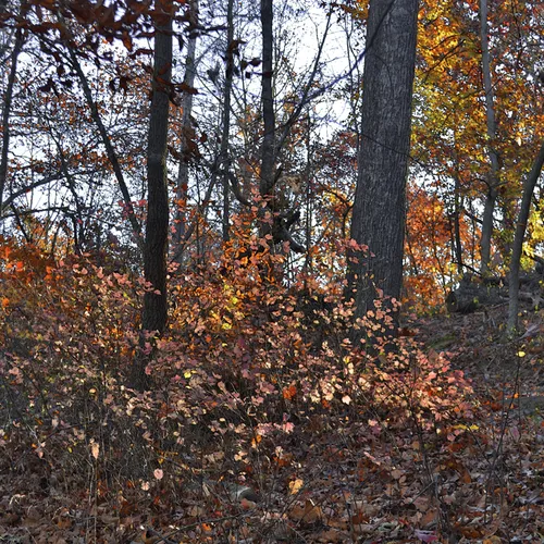 Lake Corriher 2014-12