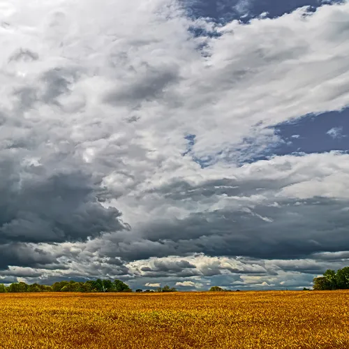 Caublecreekfieldpan 2 Adj