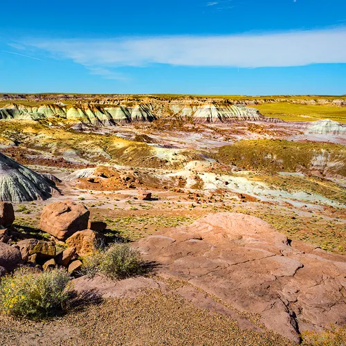 The Petrified Forest 1