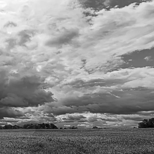 Caublecreekfieldpan 2 Adjbw