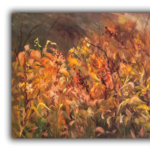 Clingmans Dome Flowers