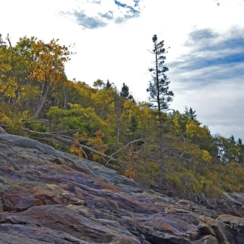 Acadia Shore Fall 1-13