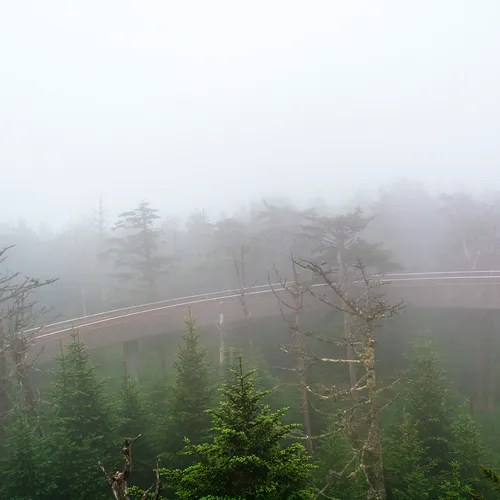 Clingmansdome 3