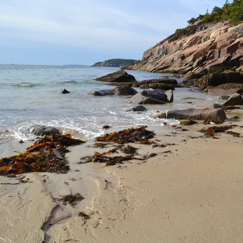 Acadia Shore Fall 1-11