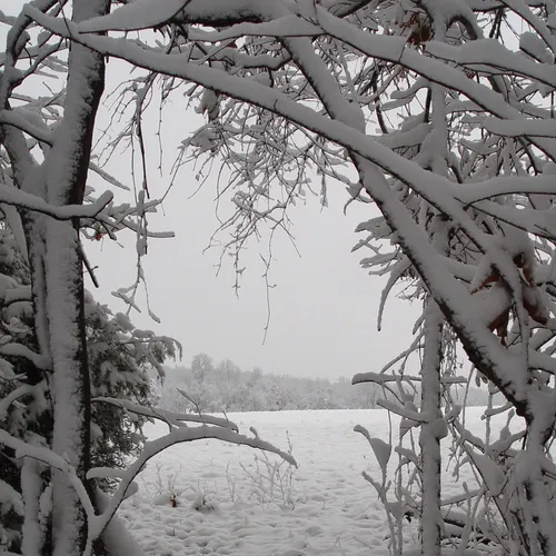 Snowy door to field