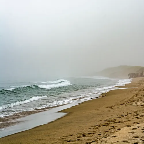 PortAuxBasqueReturn 12