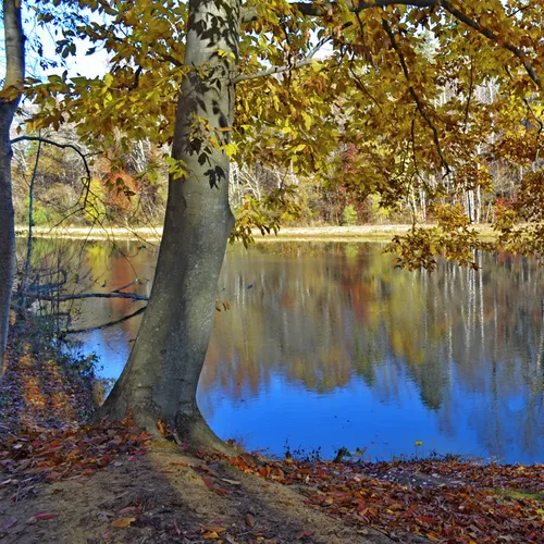 Lake Corriher 2014-5