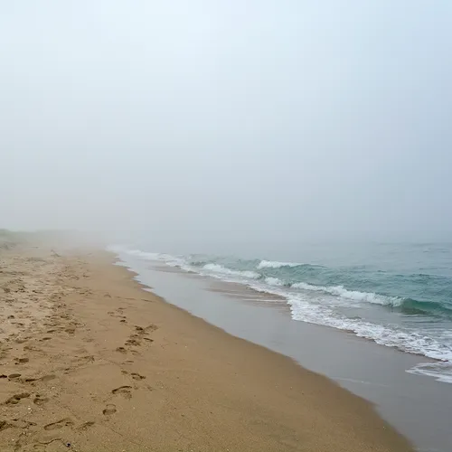 PortAuxBasqueReturn 6