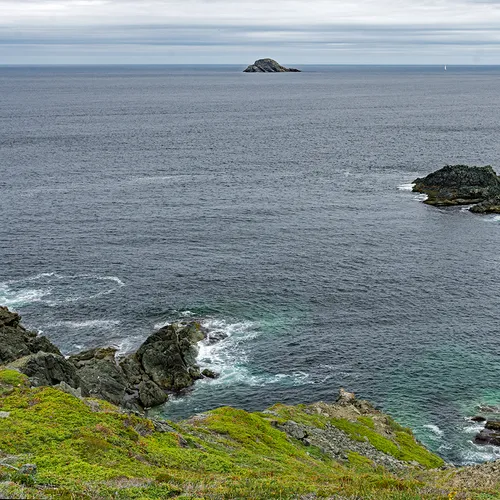 Twillingate 19