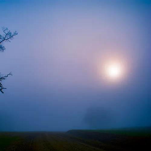 Fanniesloan 2015 Fog 8