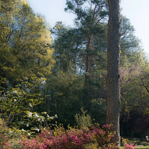 Hurley 3 Spring 2018