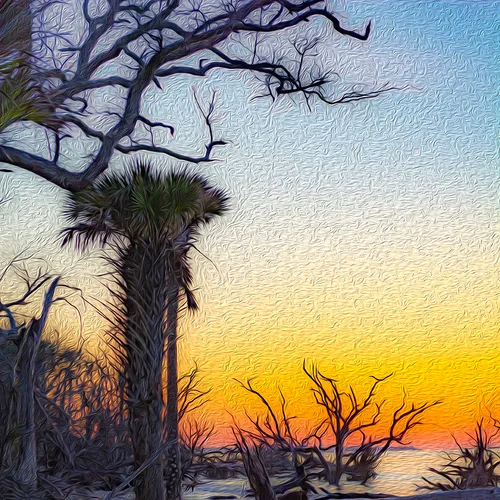 Edistosunrise 20 Oil