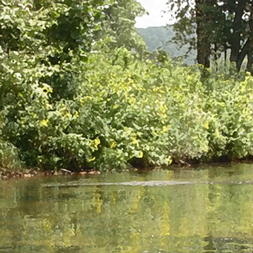 New River Bend Drybrush