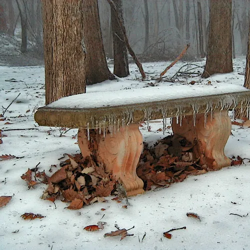 Snowy Bench