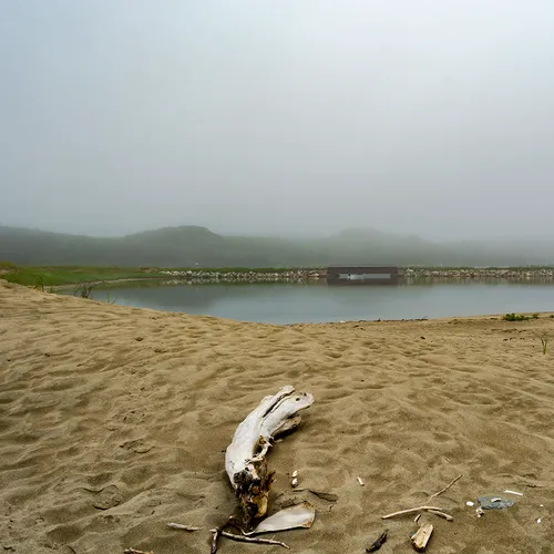 PortAuxBasqueReturn 16