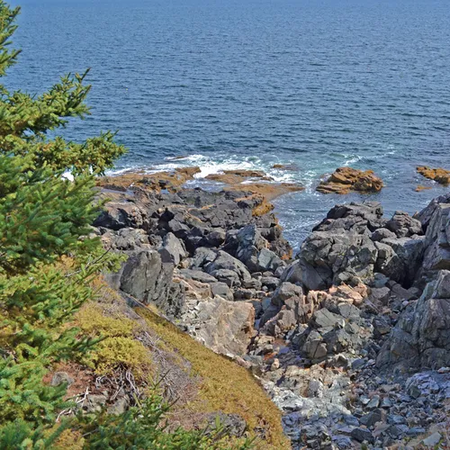 Acadia Shore 3
