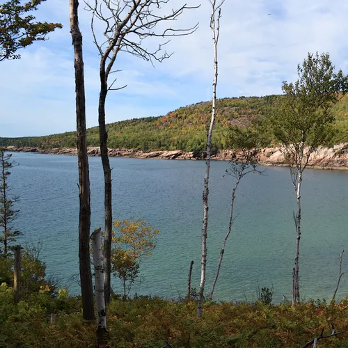 Acadia Shore Fall 1-14