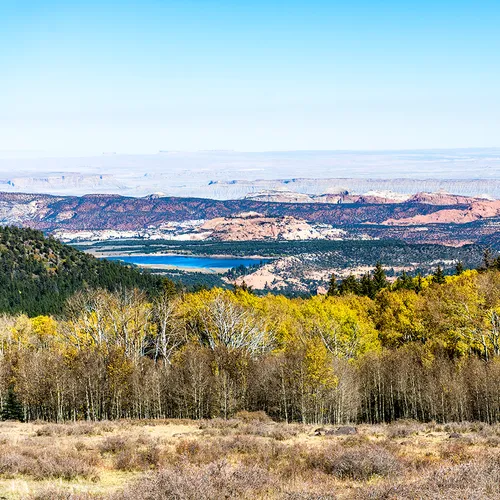 Dixienationalforest 2