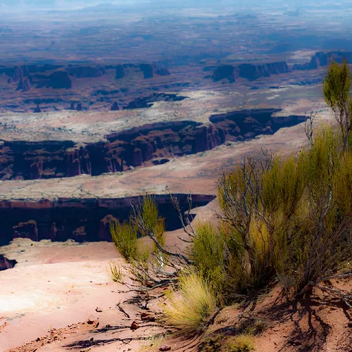 CanyonlandsNationalPark 27