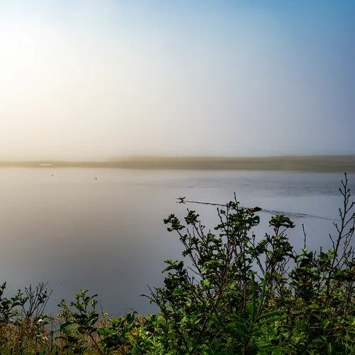 PortAuxBasqueReturn 4