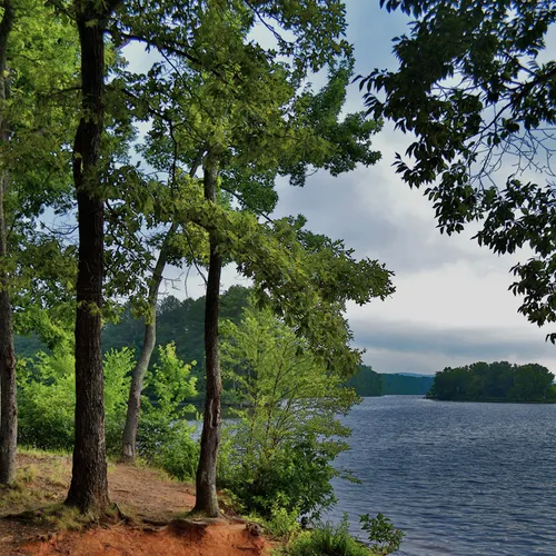 Yadkin Wildlife Access 3