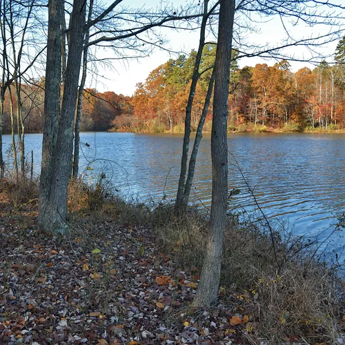 Lake Corriher 2014-13