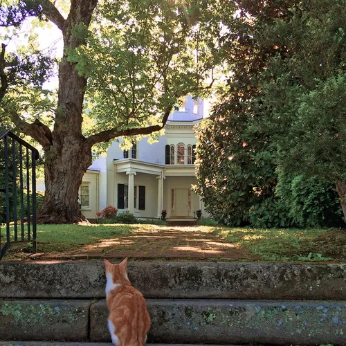 Coolemee Plantation 1