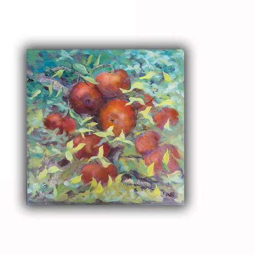 Apples on the Tree