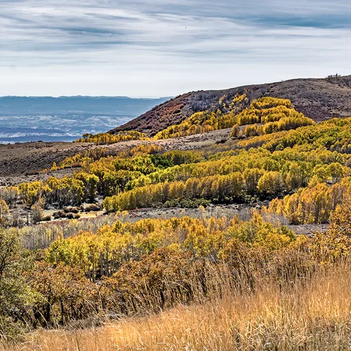 Dixienationalforest 5