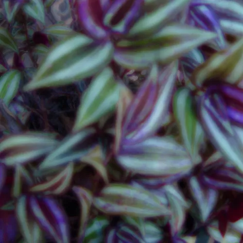 Wanderingjewunderpaint