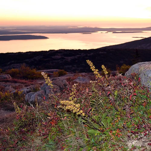 sunrise Cadillac Mtn 11