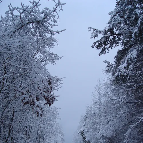 Neel Road after the Snow
