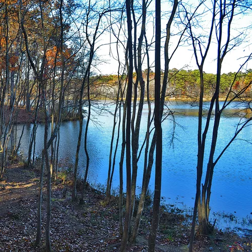 Lake Corriher 2014-3